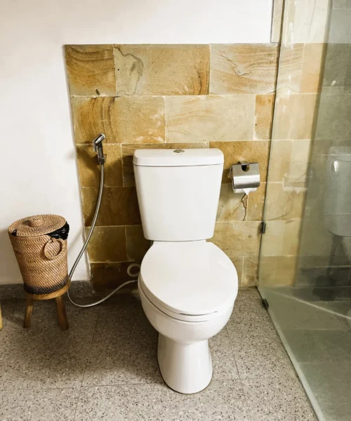 ... and a toilet with jetshower